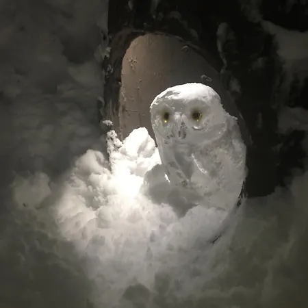 Alpenpause In Telfes Telfes im Stubai